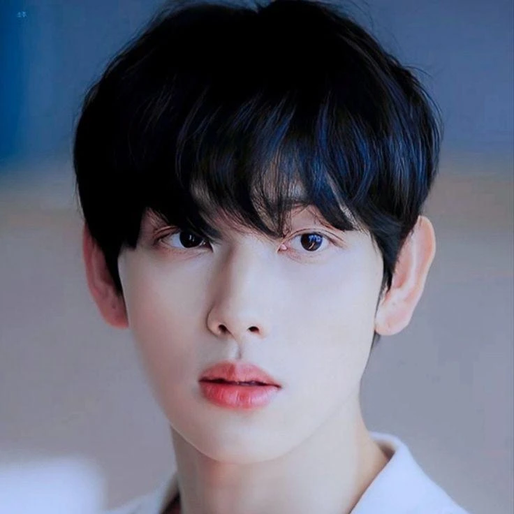 임시완