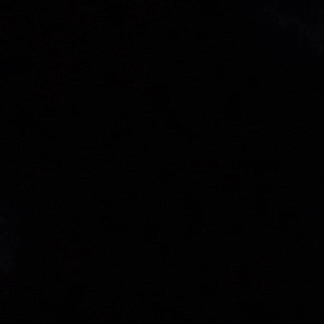 이진성