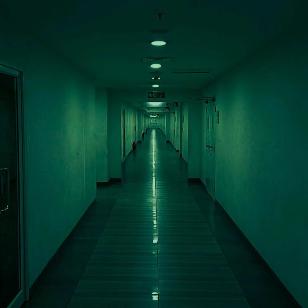 땅꼬마