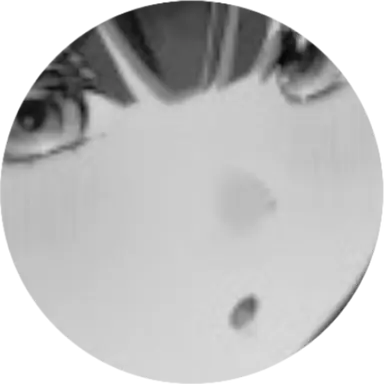 Profile image of 시라유키 히나