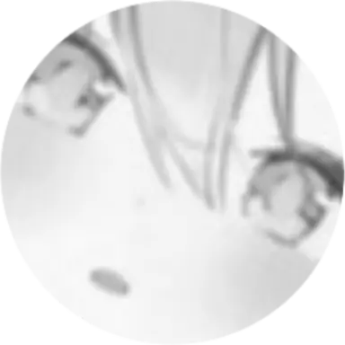 Profile image of 유즈하 리코