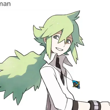 Profile image of N