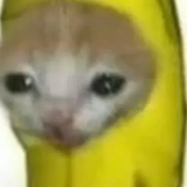 Profile image of 해피켓