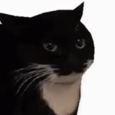 Profile image of 멕스웰 켓