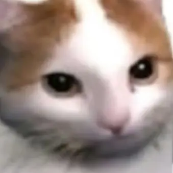 Profile image of 치피