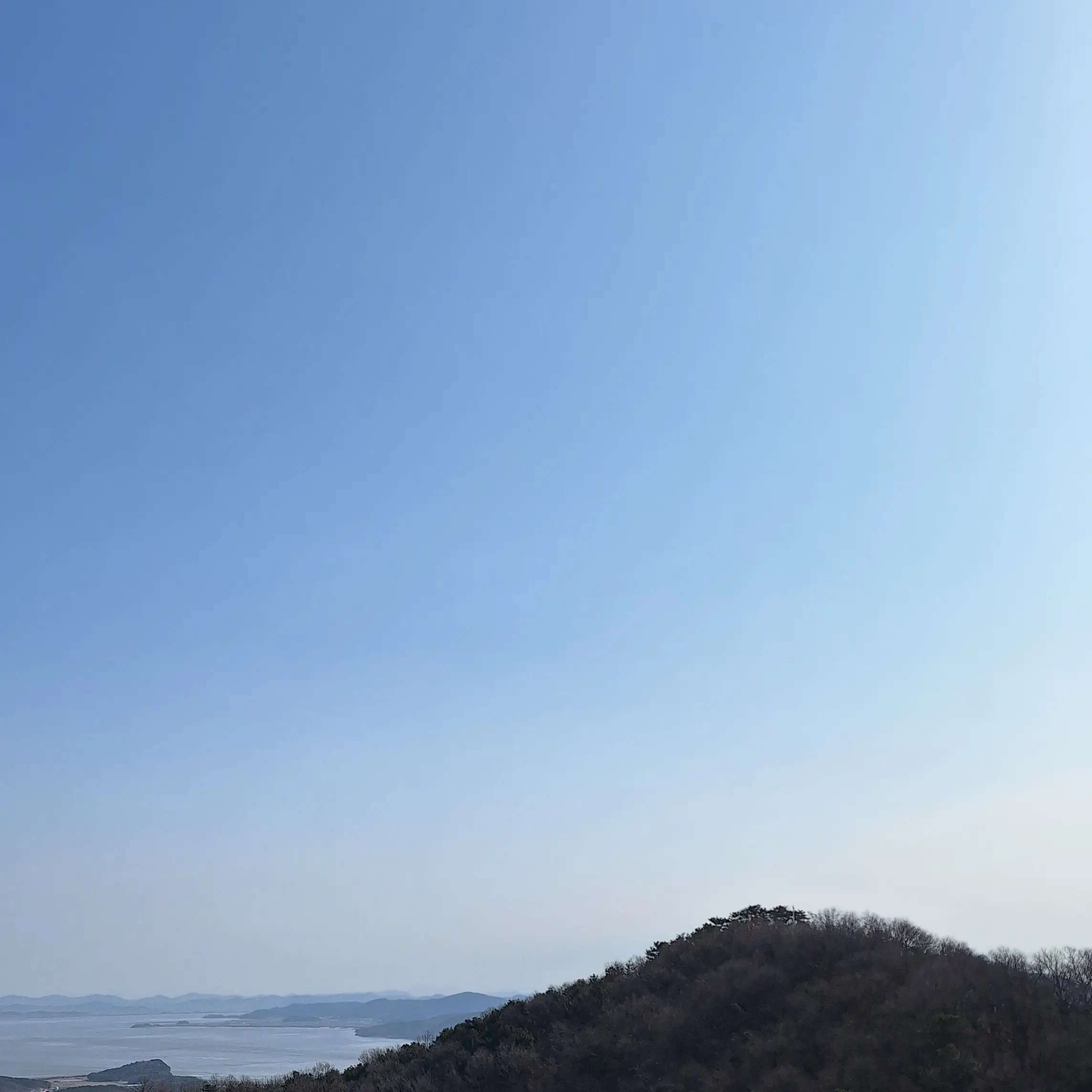 strange_panda511의 카이데이