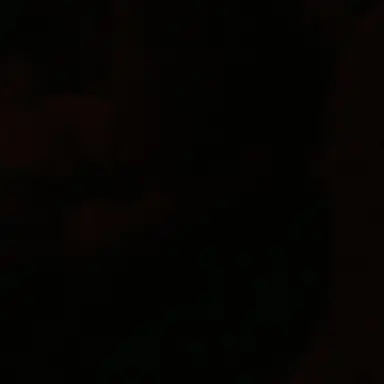 Profile image of 虎杖悠二
