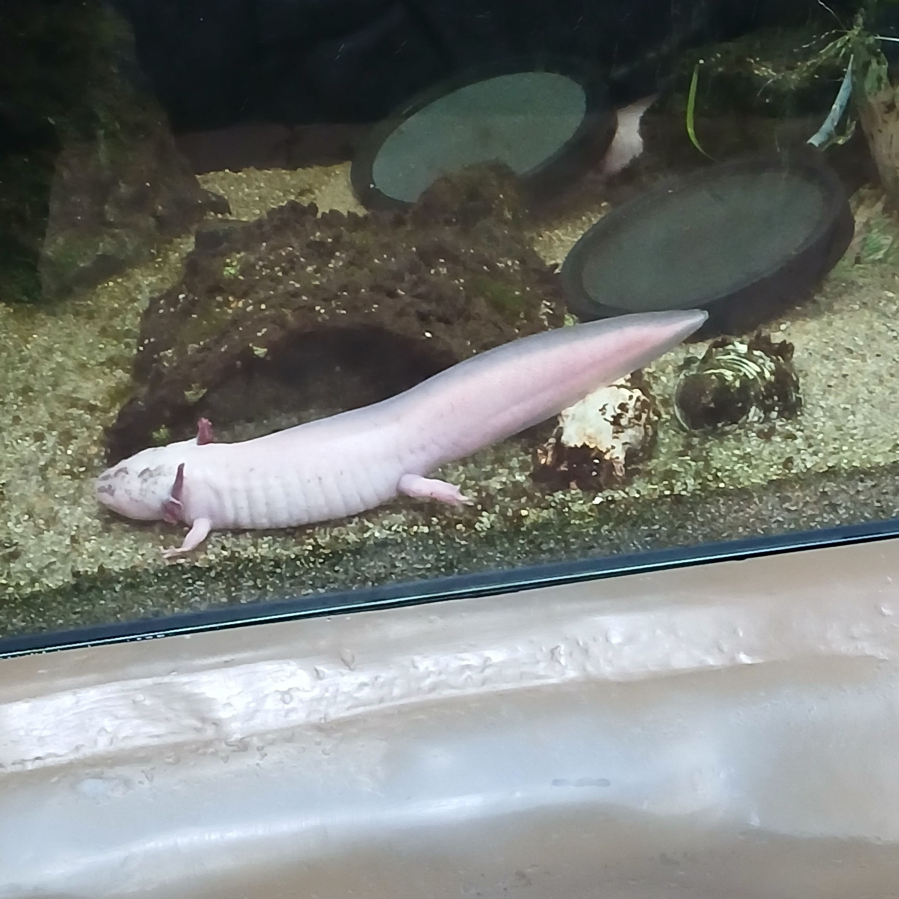 구술 합기도 대표 이미지