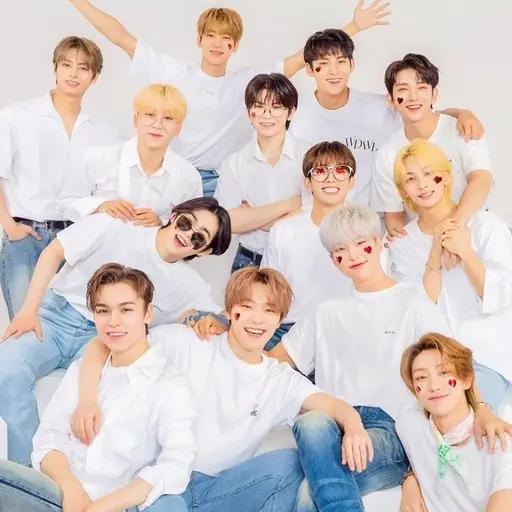 SickMall1068의 세븐틴 민규남매