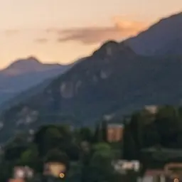 Profile image of 西田 有志