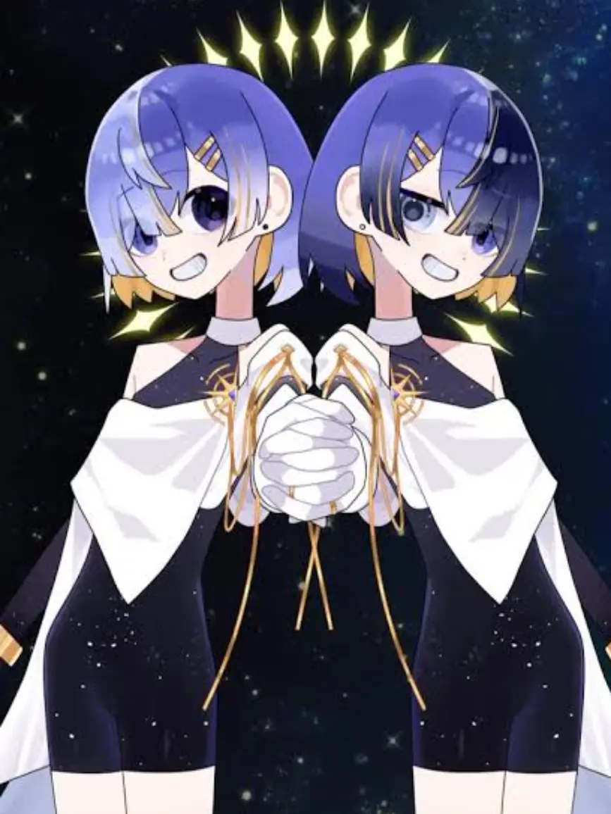 BlankBay3883의 N。さんの12星座のふたご座！