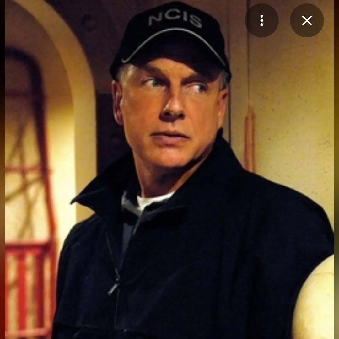PuristGown7752의 How i Met NCIS