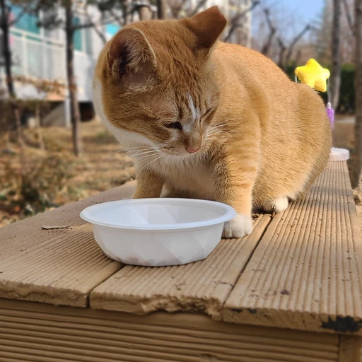 나리
