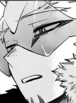 Profile image of Hawks