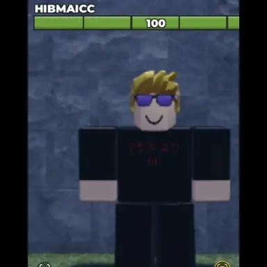 Profile image of HIBMAICC