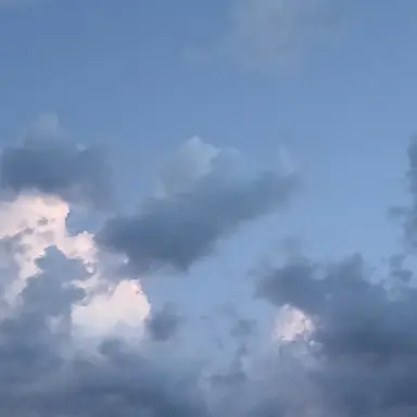 Profile image of 라더