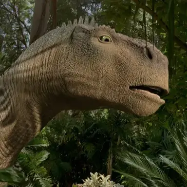 Profile image of 알리다