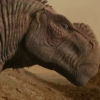 Profile image of 크론