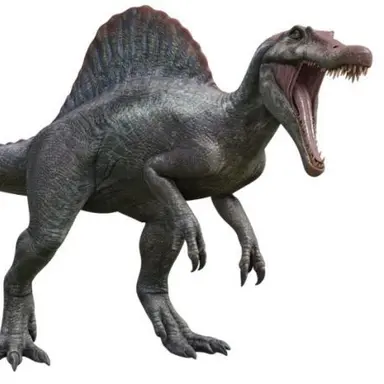 Profile image of 그래이