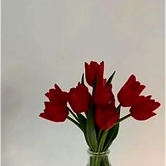 Profile image of 권지용