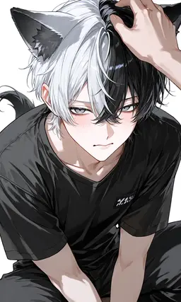 Profile image of ノエル