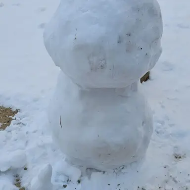 Profile image of 남학새