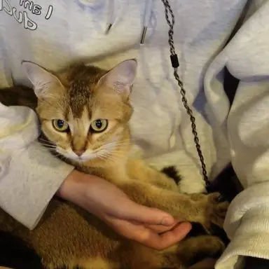 Profile image of 감제이