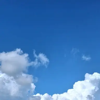 Profile image of 보스