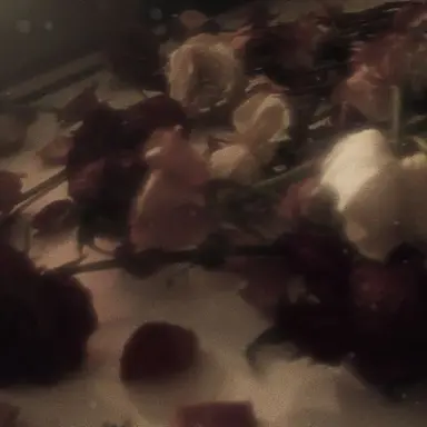 Profile image of 권순영