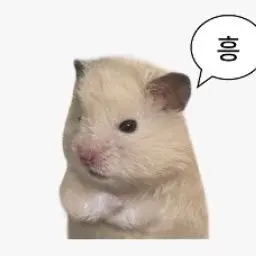Profile image of 윤한진