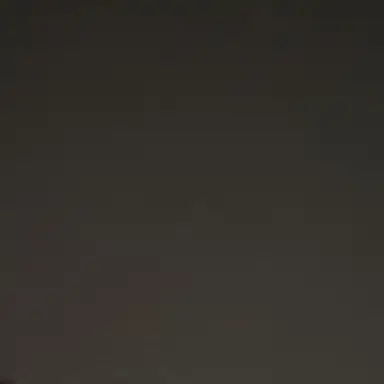 Profile image of 최상엽
