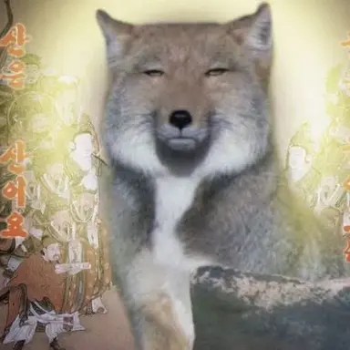Profile image of 여우