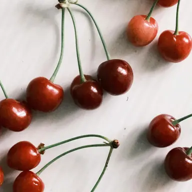 Profile image of 카쿄인 노리아키