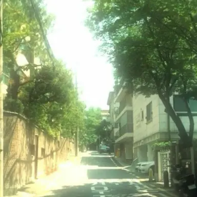 Profile image of 정공룡