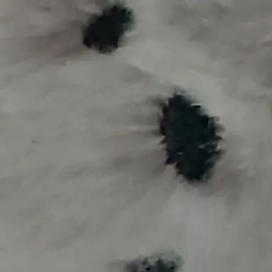 Profile image of 큐엔에이