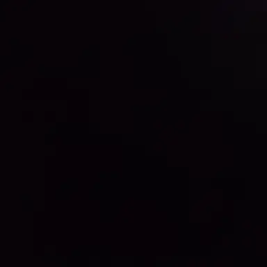 Profile image of C子