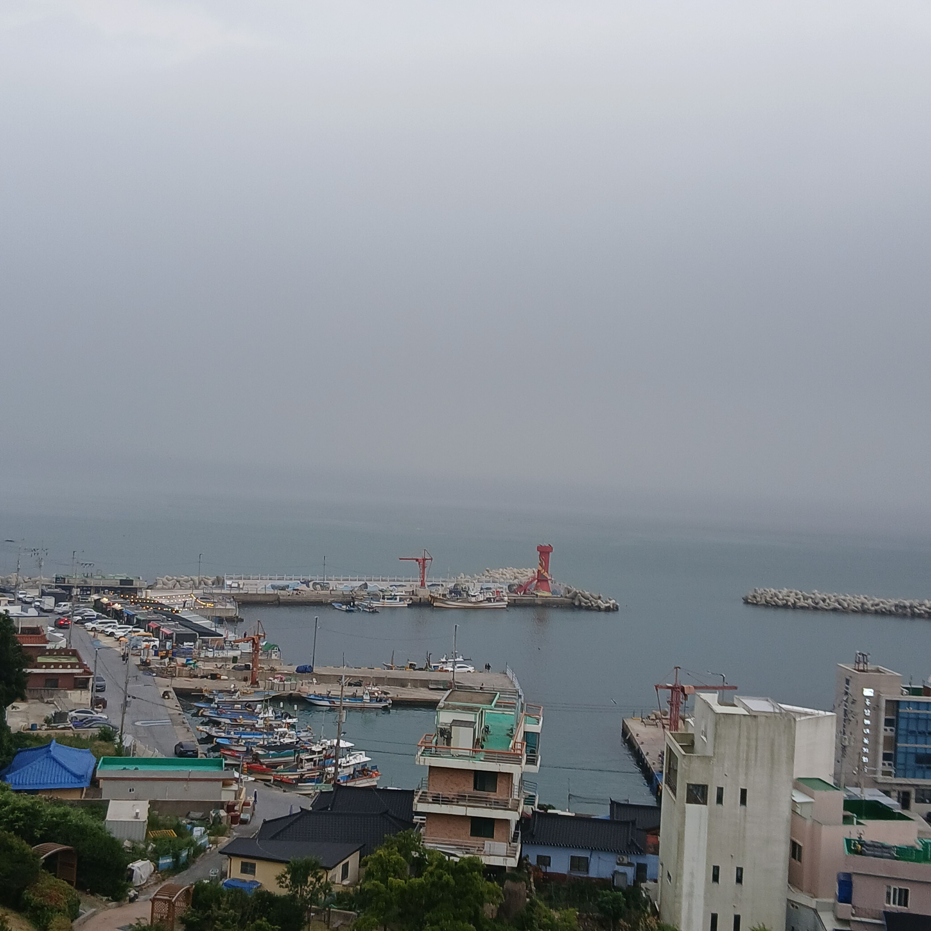 참교육 [악성민원 학부모] 대표 이미지