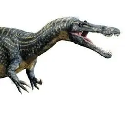 Profile image of カムス