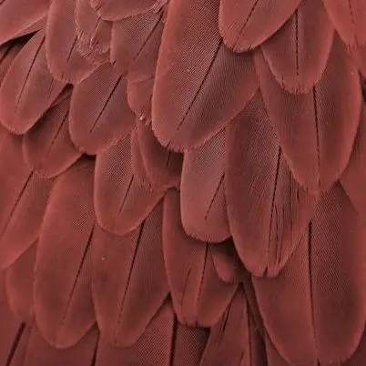 SolemnCar9353의 누구세요..? HW