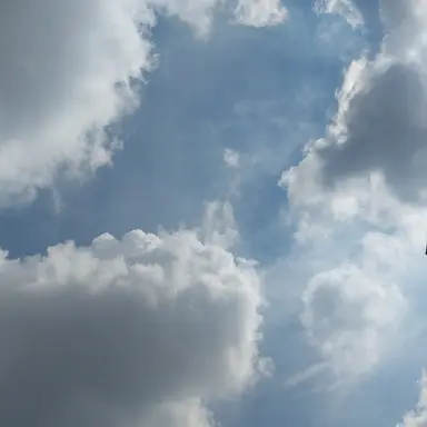 Profile image of 성민