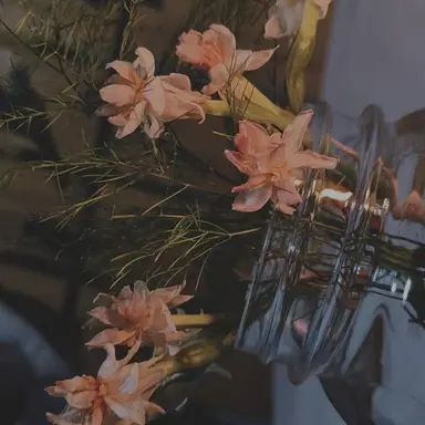 Profile image of 나루미 요시코