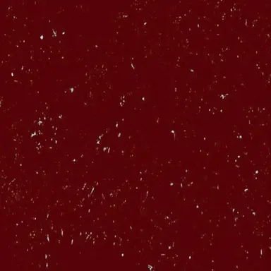 Profile image of 김 재희