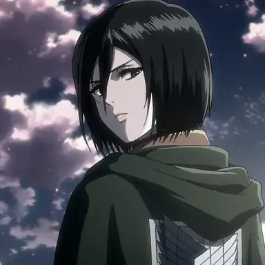 Profile image of 미카사