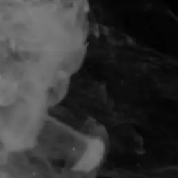 Profile image of うずまき  ナルト