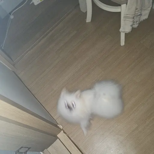Su_yeon의 광기에 절여진 호두