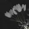 Profile image of 우융