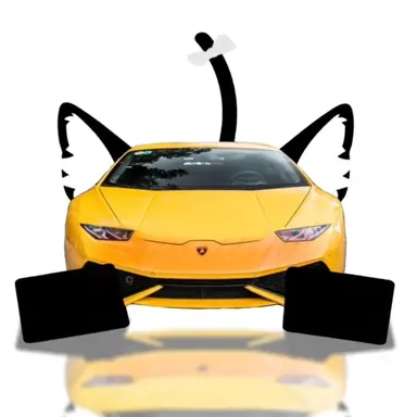 Profile image of 람보르기니 우라칸