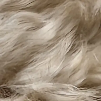 Profile image of 김여우