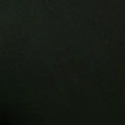 Profile image of 서우진