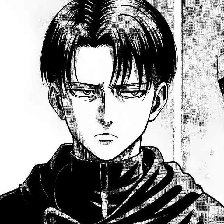 topsecretdumbass의 Attack on titan.